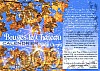 Calendrier 2009 V.jpg Calendrier 2009 V.jpg